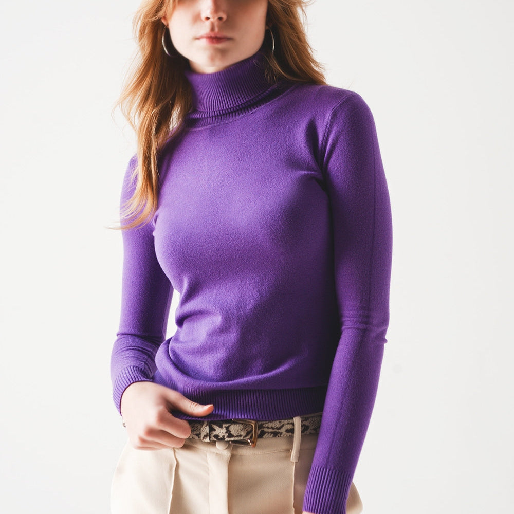 
                  
                    Basic Fine Knit High Neck Jumper in Purple
                  
                