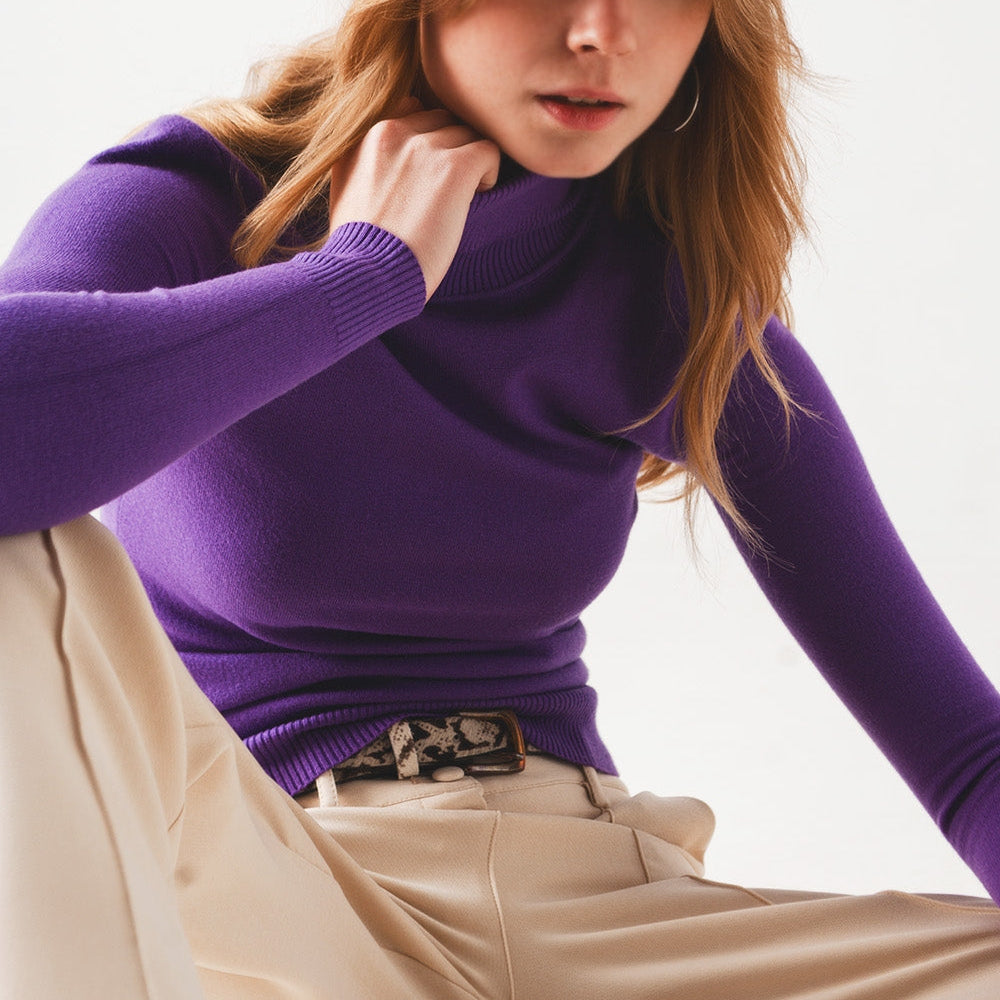 
                  
                    Basic Fine Knit High Neck Jumper in Purple
                  
                